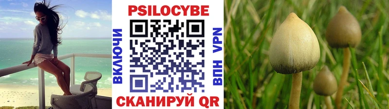 Псилоцибиновые грибы мицелий  ссылка на мегу как зайти  Ленинградская 